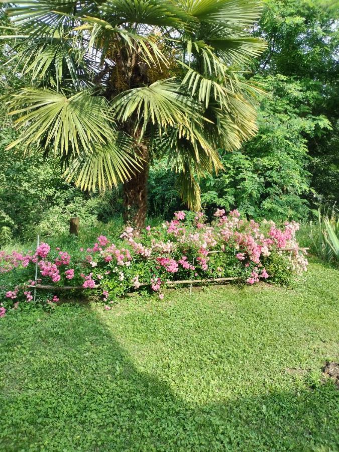Casa Relax Immersa Nel Verde Della Natura Casalborgone Extérieur photo