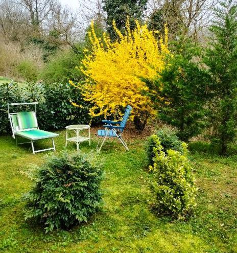 Casa Relax Immersa Nel Verde Della Natura Casalborgone Extérieur photo